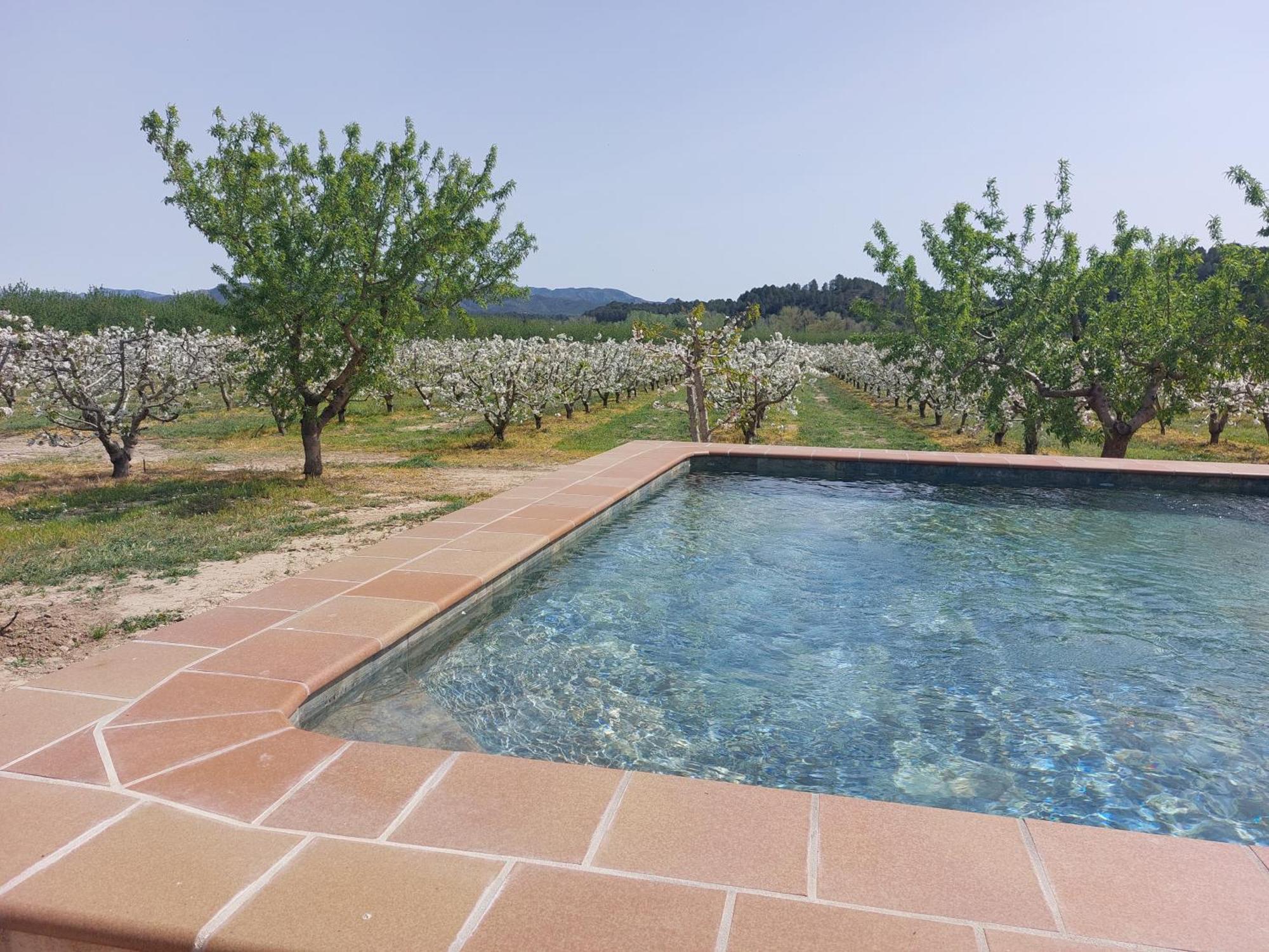 Masia Rural L'Hort De Maso Miravet Exterior photo